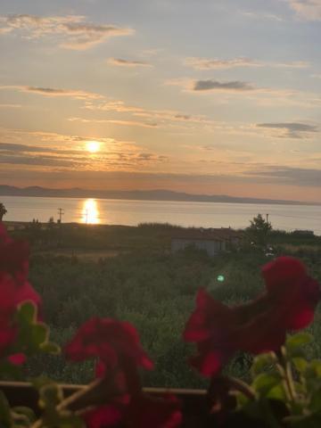 Appartamento Kalelia Nea Poteidaia Esterno foto